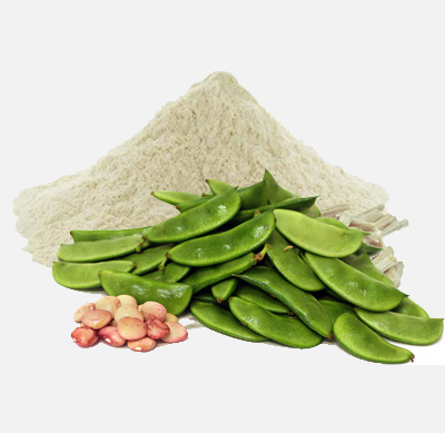 Beans (Sem)