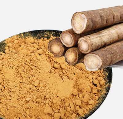 Burdock Root (Gobo)