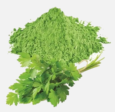Coriander (Dhania)