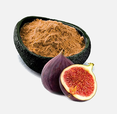 Fig
