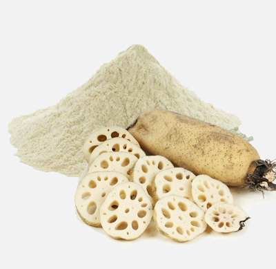 Lotus Root (Kamal Kakdi)