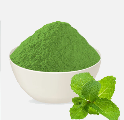 Mint (Pudina)