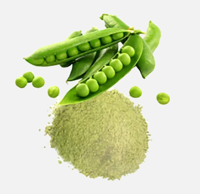 Peas (Matar)