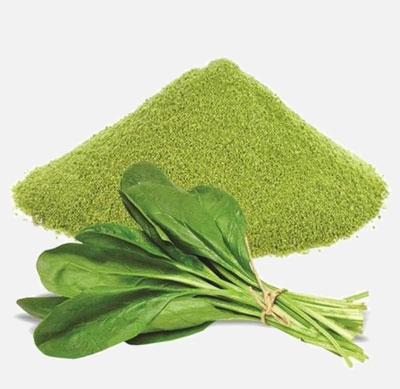 Spinach (Palak)